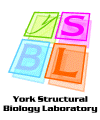 YSBL web logo