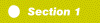 Section 1